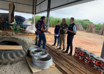 (Foto: Divulgação/Semace)