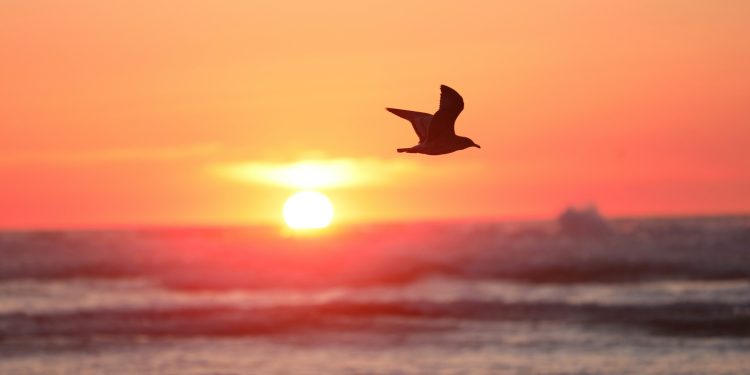 Daqui nada se leva – Por Fabiano Brito