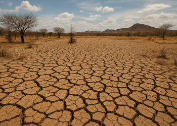 O reconhecimento federal da situação de emergência ou estado de calamidade pública possibilita o acesso a recursos complementares para a execução de ações de resposta e reconstrução (Foto: Samuel Pinheiro/Revista Cariri)