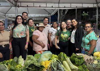 Elmano de Freitas sanciona lei que garante que pelo menos 30% das aquisições de alimentos venham da agricultura familiar