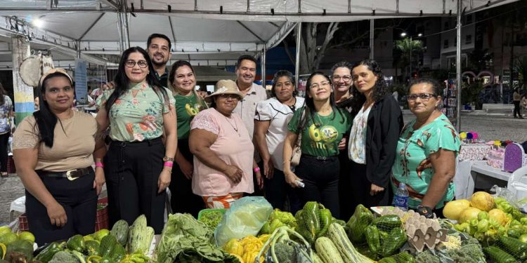 Elmano de Freitas sanciona lei que garante que pelo menos 30% das aquisições de alimentos venham da agricultura familiar
