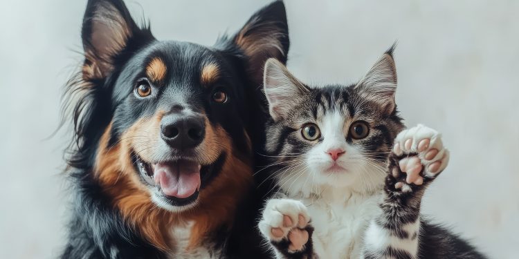 Condenados por maus-tratos a animais ficam impedidos de assumir cargos no serviço público estadual