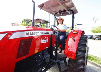 (Foto: Helene Santos/Governo do Ceará)
