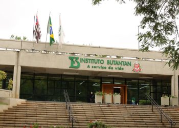 Butantan inicia testes em humanos da primeira vacina brasileira contra a gripe aviária