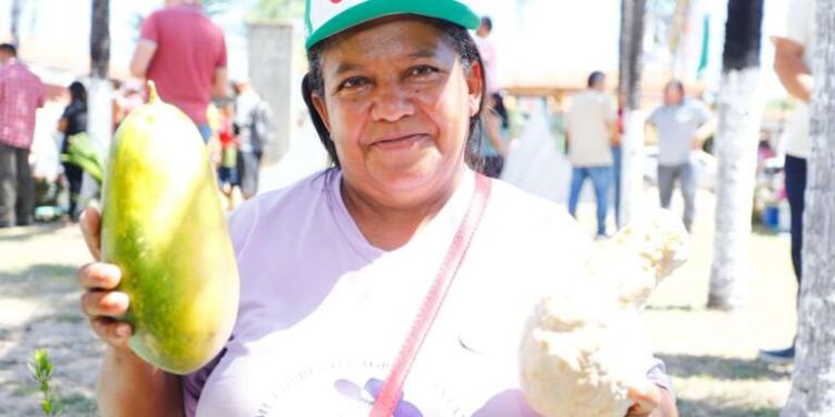 Plano Safra é lançado no Ceará com R$ 89 bi e maior área fundiária já regularizada no país