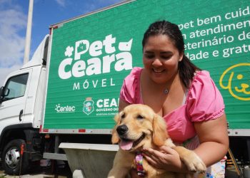 Pet Ceará Móvel chega a Juazeiro do Norte com castração gratuita para cães e gatos
