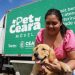 Pet Ceará Móvel chega a Juazeiro do Norte com castração gratuita para cães e gatos