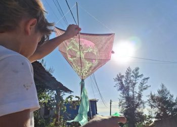 Pipas na rede elétrica deixaram mais de 200 mil cearenses sem energia em 2024