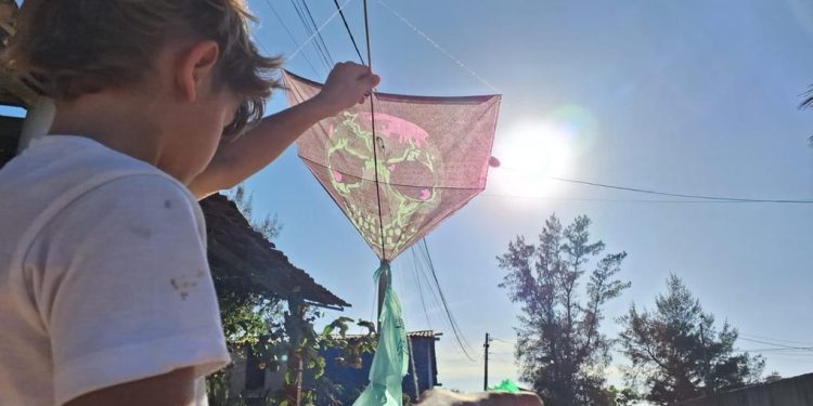 Pipas na rede elétrica deixaram mais de 200 mil cearenses sem energia em 2024