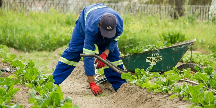 ITR 2025: Começou o período de entrega da declaração; veja onde fazer no Crato