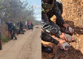Oito pessoas são detidas durante torneio de caça ilegal de animais silvestres em Lavras da Mangabeira (Foto: Reprodução/PMCE)