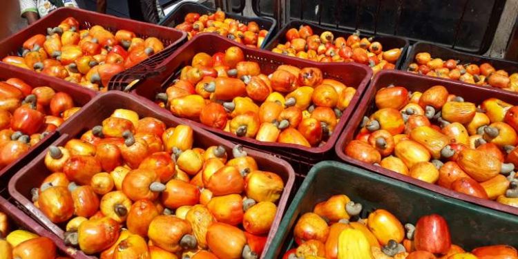 Governo do Ceará vai comprar produtos afetados por tarifaço dos EUA para abastecer órgãos estaduais