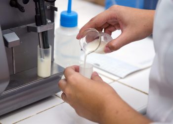 Evento científico no Cariri e Sertão Central reúne pesquisadores para debater energia verde e inovação tecnológica