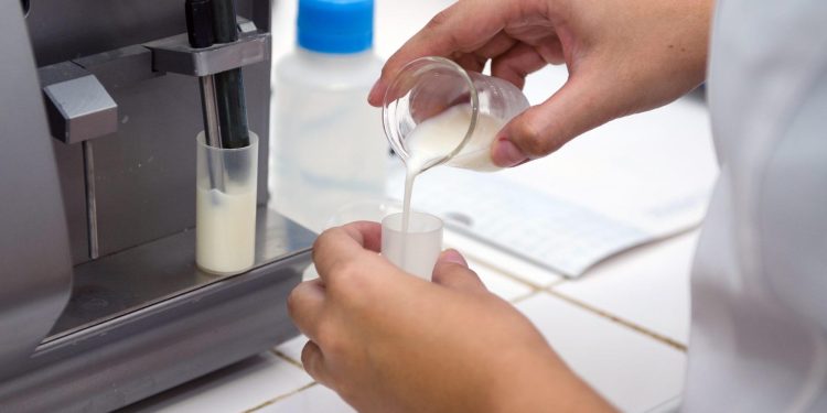 Evento científico no Cariri e Sertão Central reúne pesquisadores para debater energia verde e inovação tecnológica