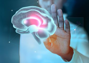 Estudo revela que cérebros de homens encolhem mais rápido do que os de mulheres