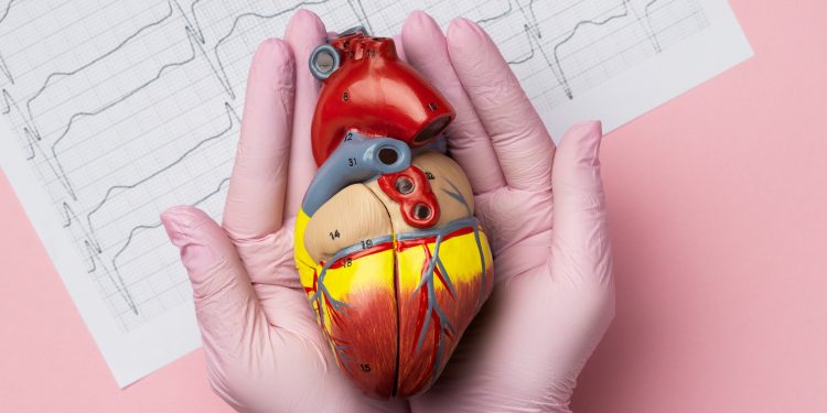 Quanto o estresse pode afetar o coração? Entenda a “síndrome do coração partido”