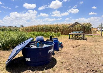 Do tanque ao solo: sistema integrado promete impulsionar produção rural no Cariri