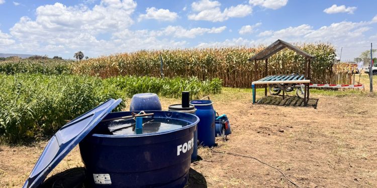 Do tanque ao solo: sistema integrado promete impulsionar produção rural no Cariri