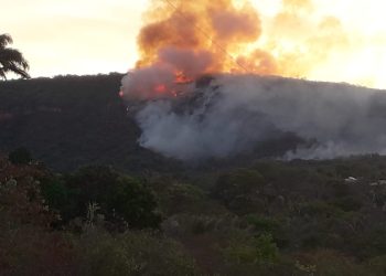 Incêndio na Chapada Nacional do Araripe, no Crato (Foto: Divulgação)