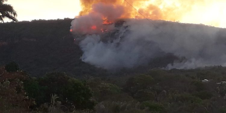 ICMBio estima devastação de aproximadamente 50 hectares da Flona Araripe após incêndio no Crato