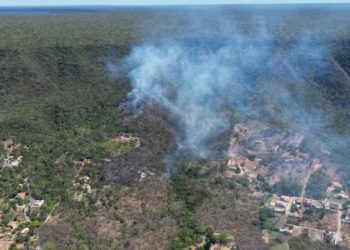 Incêndio atinge área rural do Crato e ameaça Floresta Nacional do Araripe