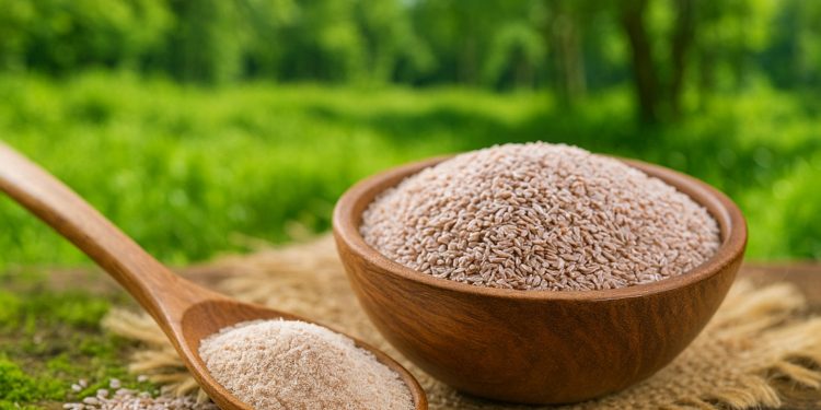 Psyllium ganha espaço na rotina alimentar e vira aliado da saúde intestinal e cardíaca
