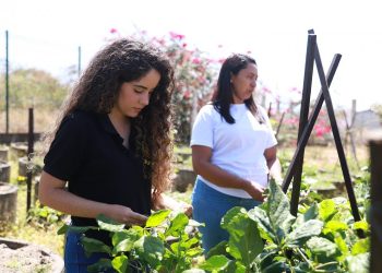 UFCA abre inscrições para mestrado em Desenvolvimento Regional Sustentável