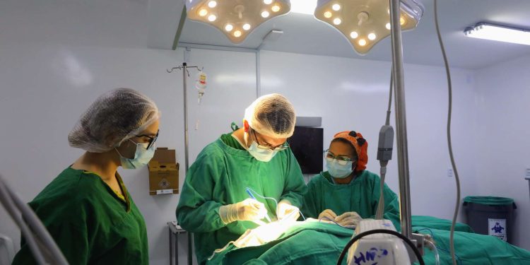 Governo do Ceará realiza 2º Dia C de Cirurgias e mobiliza 97 hospitais em todo o estado
