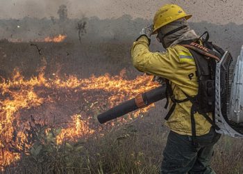 Crato registra 55 incêndios em 2025 e dobra número de queimadas em relação ao ano anterior