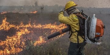 Crato registra 55 incêndios em 2025 e dobra número de queimadas em relação ao ano anterior