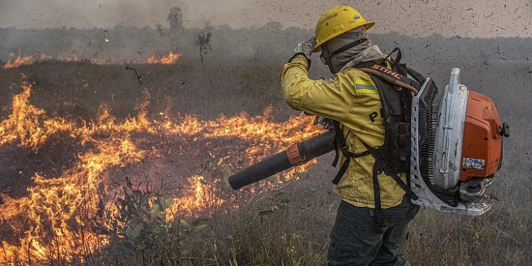 Crato registra 55 incêndios em 2025 e dobra número de queimadas em relação ao ano anterior