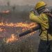 Crato registra 55 incêndios em 2025 e dobra número de queimadas em relação ao ano anterior
