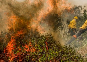 Ativista pede ação urgente contra queimadas e lança movimento “Crato sem Fogo”