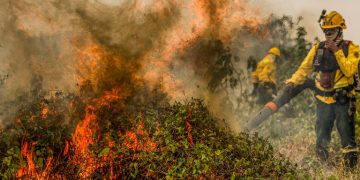 Ativista pede ação urgente contra queimadas e lança movimento “Crato sem Fogo”