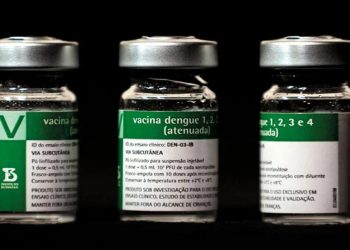 Anvisa aprova vacina Butantan-DV, primeira dose única contra dengue no mundo