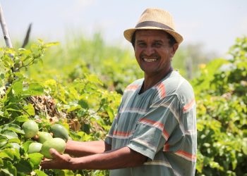 Elmano de Freitas anuncia pacote de R$ 309 milhões para fortalecer a agricultura familiar