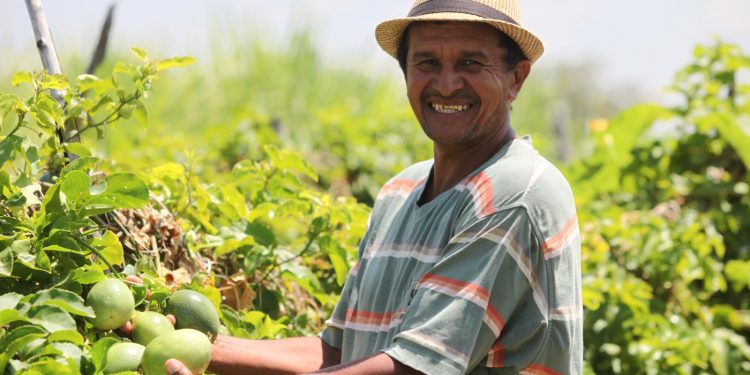 Elmano de Freitas anuncia pacote de R$ 309 milhões para fortalecer a agricultura familiar