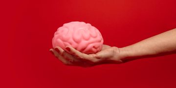 Cérebro humano passa por cinco grandes fases ao longo da vida, aponta estudo