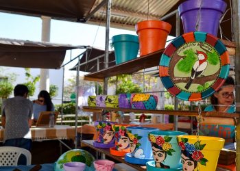 UFCA abre inscrições para especialização gratuita em economia solidária e gestão social