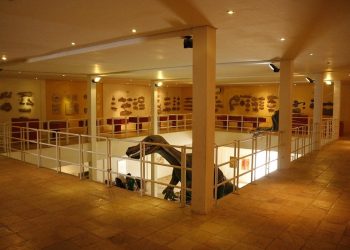 Fósseis históricos da Bacia do Araripe retornam ao Brasil após anos em museu da Alemanha