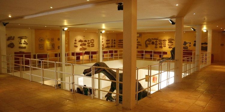 Fósseis históricos da Bacia do Araripe retornam ao Brasil após anos em museu da Alemanha