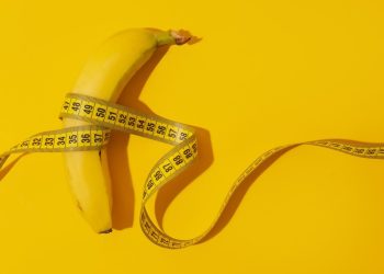 Estudo aponta que tamanho do pênis humano pode ter evoluído por atração sexual e competição entre machos