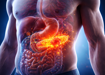 Terapia experimental elimina tumores de pâncreas em camundongos e abre nova perspectiva contra a doença