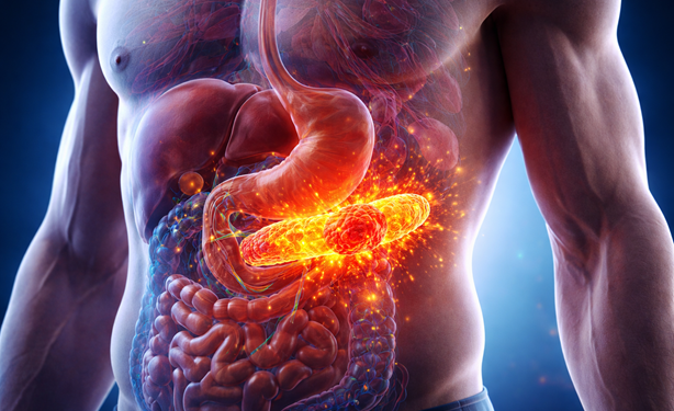 Terapia experimental elimina tumores de pâncreas em camundongos e abre nova perspectiva contra a doença