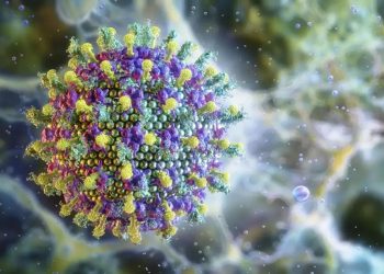 Vírus Nipah ameaça o Brasil? Veja o que diz o Ministério da Saúde